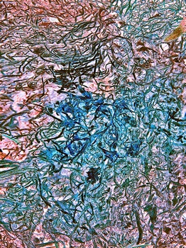 AP 155A1